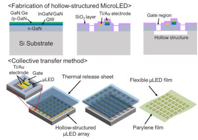 Hollow flexible microLED array fabrication (Toyohashi University)