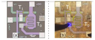 2T pixel circuit, before and after micro-LED transfer on a:SI (University of Waterloo, 2019)
