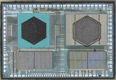 Avicena LightBundle microLED array ASIC